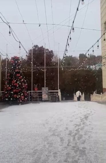 дордой батир: Студия, Душ кабинасы, Жаздык, жууркан-төшөк каптары, Кондиционер — 5