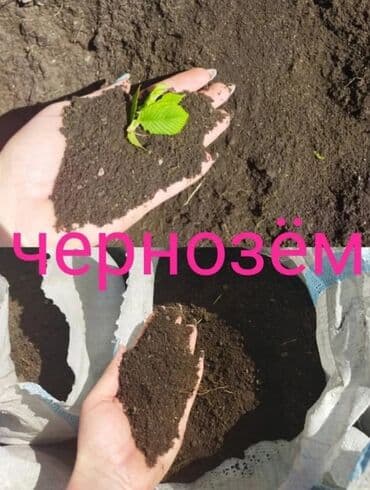 В тоннах, Бесплатная доставка, Зил, Камаз at lalafo.kg В тоннах, Бесплатная доставка, Зил, Камаз