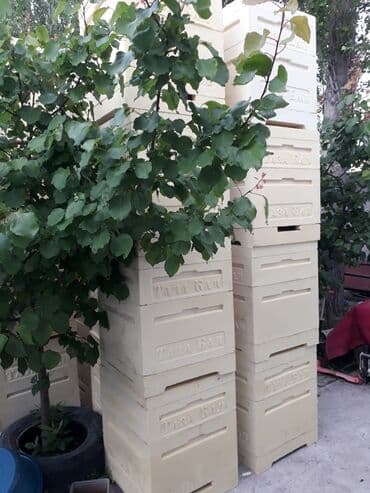 продажа домашних животных: Ульи для пчёл Преимущества ППУ ульев Пенополиуретан (ППУ) -Это — 6