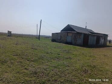 продаю дом участок село достук конечная 7 автобус: Продаю Птицеферма, 10000 соток, Электричество — 7