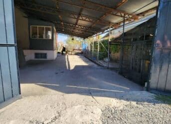 военный антоновка дом: 7 соток, Красная книга, Договор дарения — 2