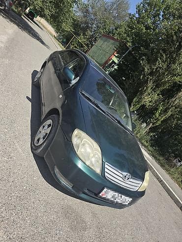 Toyota Corolla: 2002 г., 1.4 л, Механика, Бензин, Седан