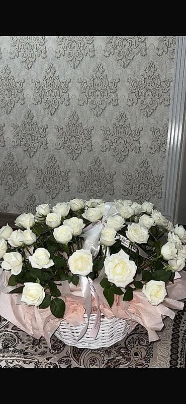 цветы гвоздика: Срочно 51шт — 1