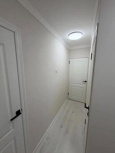 шакал: 1 комната, 30 м², 1 этаж — 4