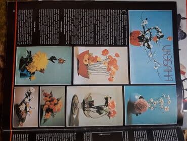 выбери счастье в обоих мирах бишкек: Журналы "Наш дом" - Пособие по проектированию интерьеров. БОЛГАРИЯ — 5