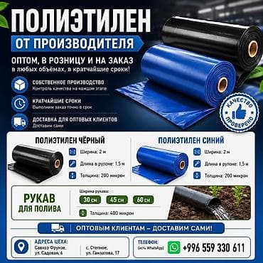 Тип пленки