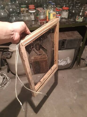 Для выведения пчелиного яда около 100 шт at lalafo.kg Для выведения пчелиного яда около 100 шт