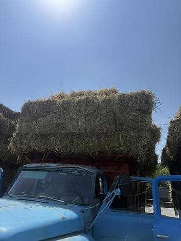 Сено в тюках - Прессованные прямоугольные тюки, удобные для погрузки