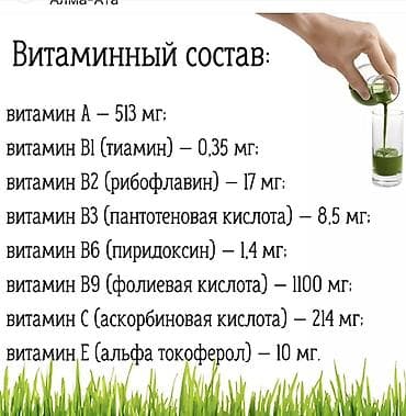жылга сай арча бешик: Витаминдер комплекси, Иммунитетти бекемдөө үчүн, Универсалдуу, Суюктук — 2