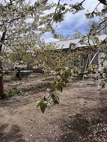 дом с бассейном: Обменяю дом на Иссык-куле- на квартиру в Бишкеке. Дом в отличном — 2