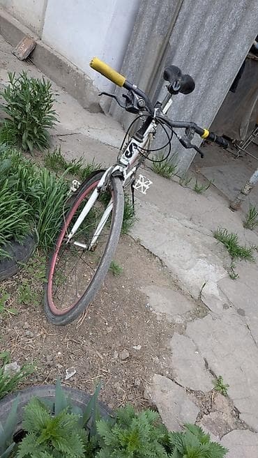 single speed: Городской велосипед, Рама XS (130 -155 см), Б/у — 5