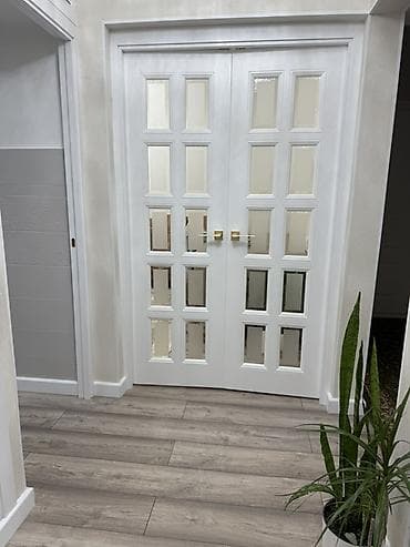 дверь с зеркалом: Двери для домов и квартир, Металлическая, Двухстворчатая, Со стеклом, цвет - Белый — 1