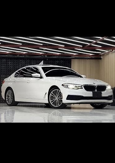 BMW 5 series: 2019 г., 2 л, Автомат, Бензин, Седан