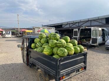 ауди rs7 цена в бишкеке: Легкий грузовик, Стандарт, 2 т, Б/у — 6