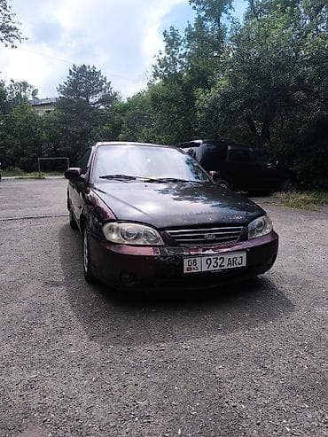 neta u pro: Kia Spectra: 2008 г., 1.6 л, Автомат, Бензин, Седан — 1