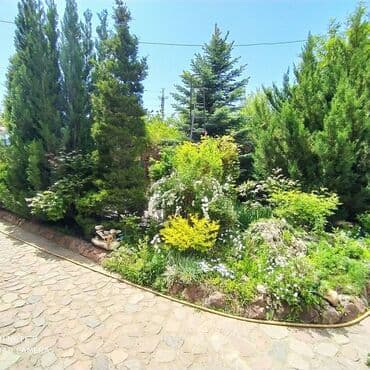 невропатолог на дом: Номер, Чолпон-Ата, Детская площадка, Парковка, стоянка, Баскетбольная площадка — 5