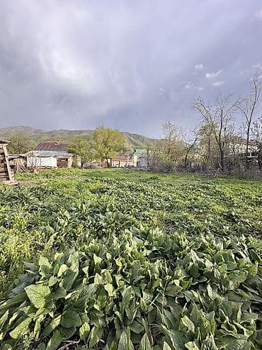 город: 7 соток, Для бизнеса, Красная книга, Тех паспорт, Договор купли-продажи — 1