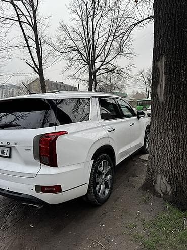 Hyundai Palisade: 2019 г., 3.8 л, Бензин, Кроссовер