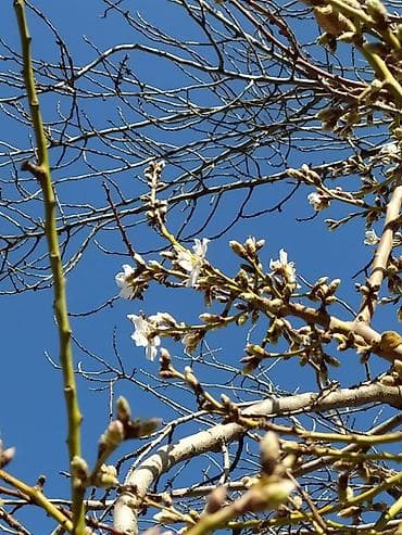 орок участок: 5 соток — 6