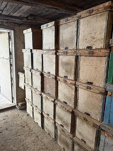 хазар май: Пчелиные ульи. ПЧЕЛ НЕТ Лежаки на две семьи 20 рамочные, дадан- 16 — 6