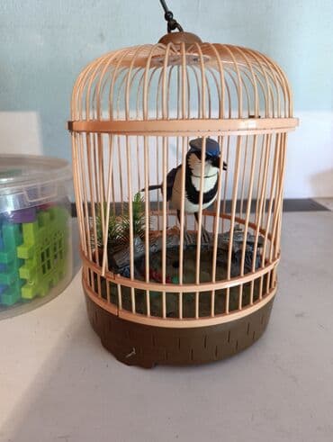 сколько стоит говорящий кактус: Пазлывсе за 500 сом Пушистые шарики, игра крестик нолик, мозаика и — 6