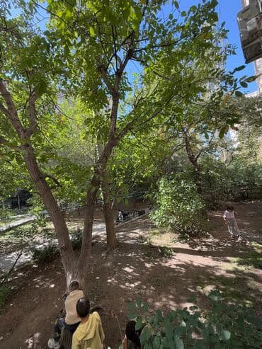 снять квартиру в джал 1 комнатную: 2 комнаты, 52 м², 106 серия, 1 этаж, Косметический ремонт — 1