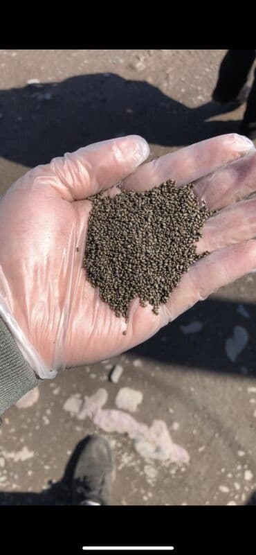 бенкунг отзывы: Семена люцерны. Прием/продажа в любых объёмах. Доставка по всем — 1