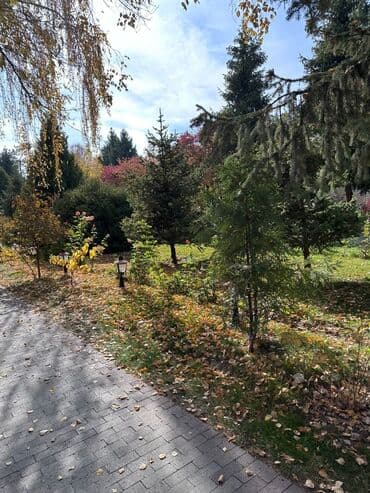 снять домик в горах: Коттедж, КОТТЕДЖ | Радуга West, Кош-Көл, Сауна, Барбекю, Батут — 45