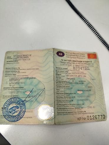 марк ll: Toyota Ipsum: 2002 г., 2.4 л, Автомат, Бензин, Минивэн — 3