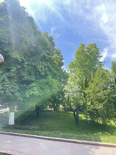 мороженое работа: Срочно нужен работник в магазин! 🔥 Мы ищем ответственного, активного — 1