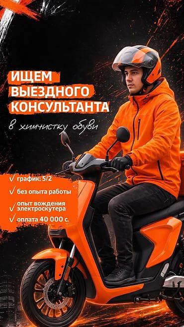 надо делать: Вакансия: выездной консультант в химчистку обуви Что предстоит — 1