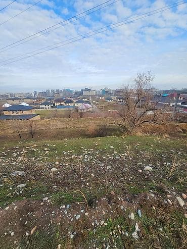 дом ремонт: 20 соток, Красная книга — 3