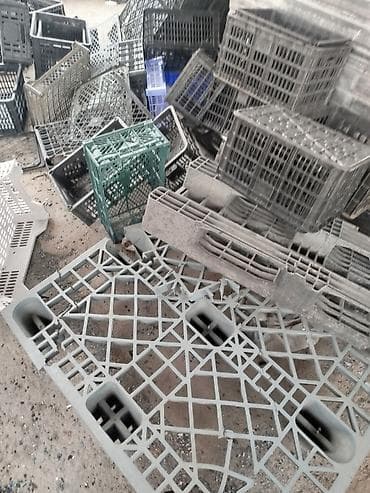 купить бокс для собаки: Пластиковый Ящик, Б/у — 3