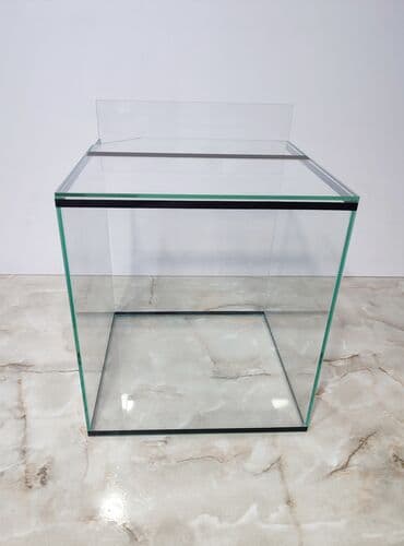 аквариумная рыбка: Прямоугольные — 12