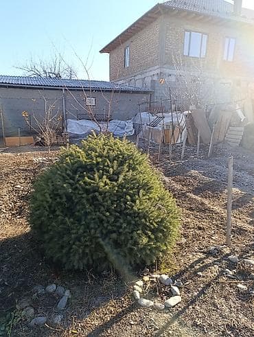 мусульманские вещи: Декор для дома и сада, Самовывоз — 2