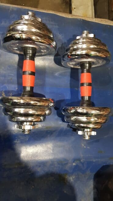 набор гантель в чемодане flexter 50кг: Гантели хром разборные 10+10=20кг . Новые — 1