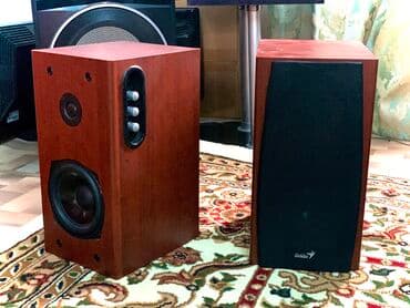 акустические системы protech с сабвуфером: Компьютерная акустика Genius Model No.: SP-HF3000A Суммарная мощность — 2