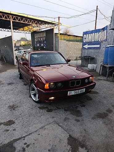 BMW 5 series: 1991 г., 2.5 л, Механика, Бензин, Седан