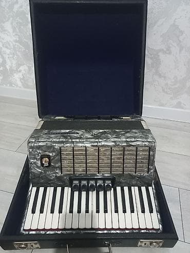 купить кораблик для рыбалки с эхолотом бу: Аккордеоны — 1