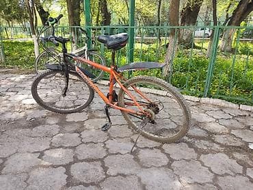 резиновый лотка: Горный велосипед VANDER TRACER (надпись на раме Roadster) — 2