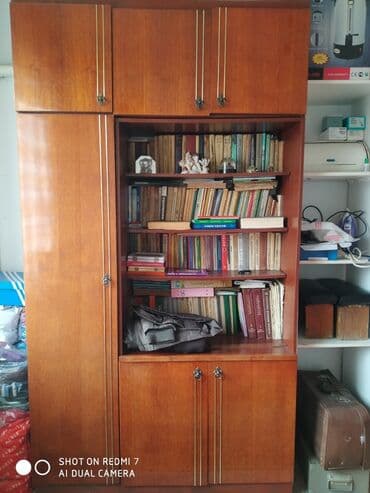 пластик стеный: Шкаф — 1