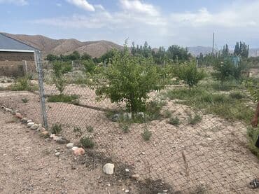 кызыл таш: 5 соток, Курулуш, Кызыл китеп — 4