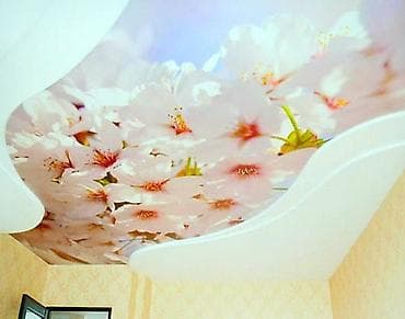 a frame: Натяжной потолок Глянцевое, Матовое, 3D потолки Гарантия, Бесплатная консультация, Бесплатный замер — 2