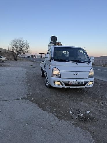 крыло на 210: Легкий грузовик, Hyundai, Стандарт — 3
