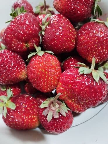 семена помидоры: Рассада садовой земляники (клубники) - Сорта с крупными — 3