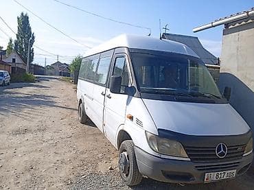 Mercedes-Benz Sprinter 412 CDI пассажирский/грузопассажирский