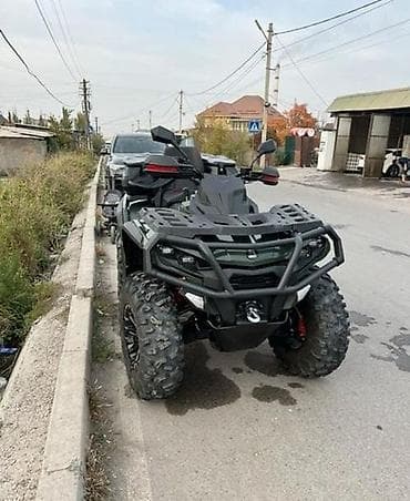 Квадроцикл Бензин, 1000 куб. см, Взрослый