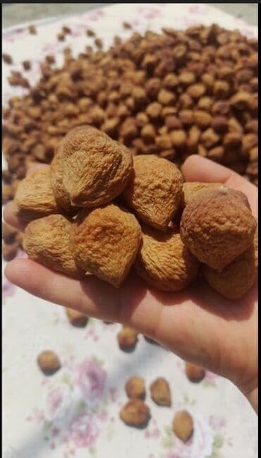 абрикосы оптом: Сушёный урюк (абрикос, сушёный целиком с косточкой) - Натуральная — 1