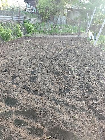 распил дрова: Вспашка огород — 3