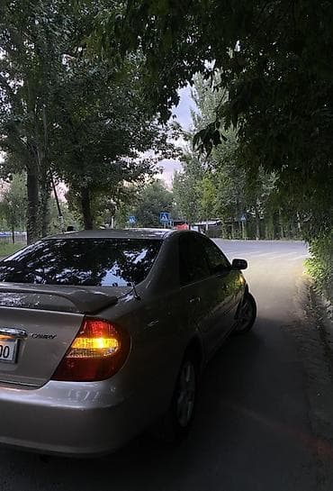 camry 30: Toyota Camry: 2003 г., 2.4 л, Автомат, Бензин, Седан — 7